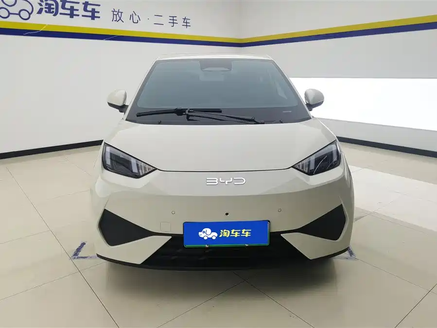 BYD Seagull