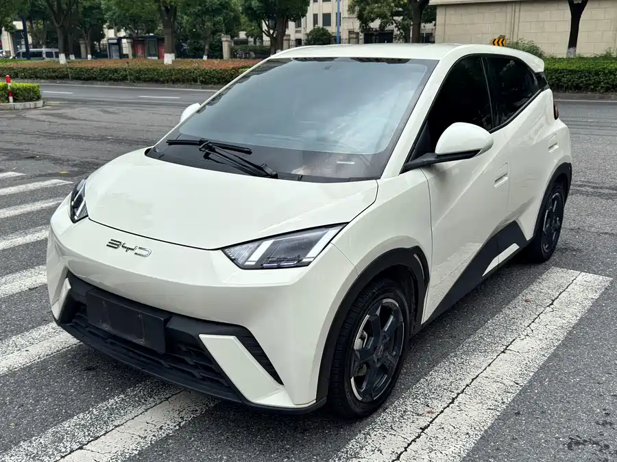 BYD Seagull