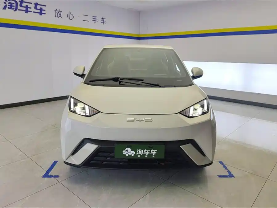 BYD Seagull