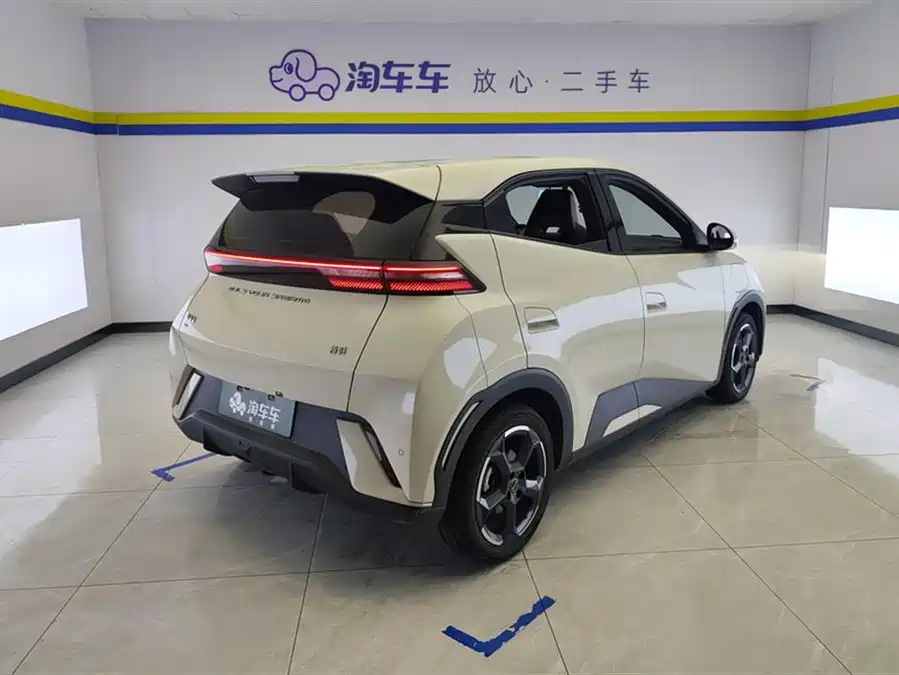 BYD Seagull