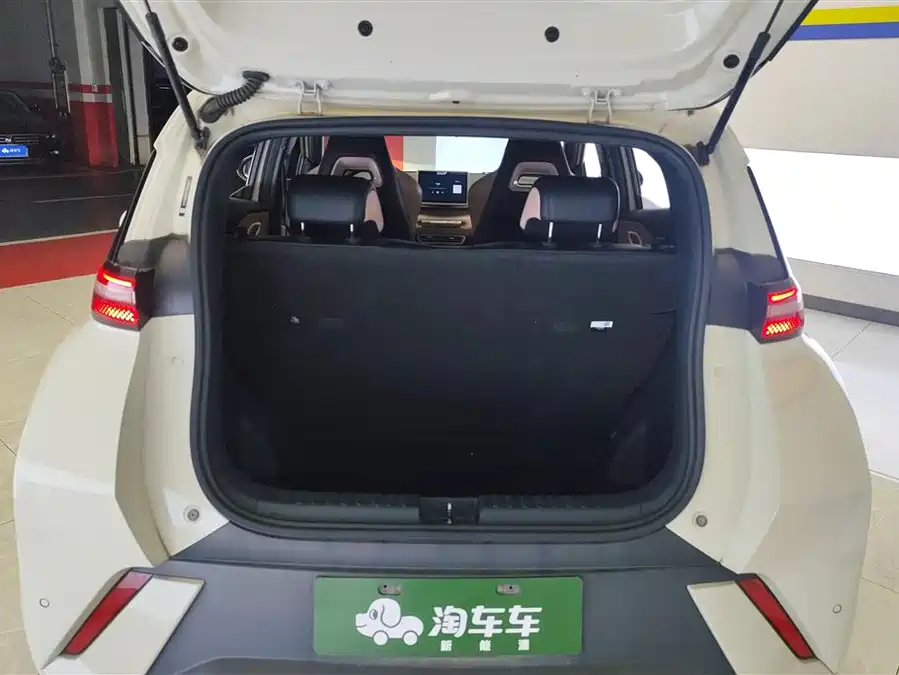 BYD Seagull