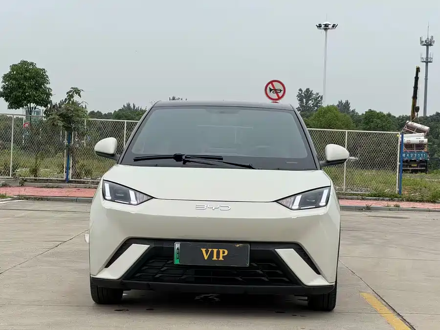 BYD Seagull