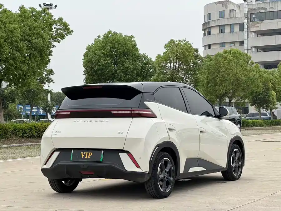 BYD Seagull