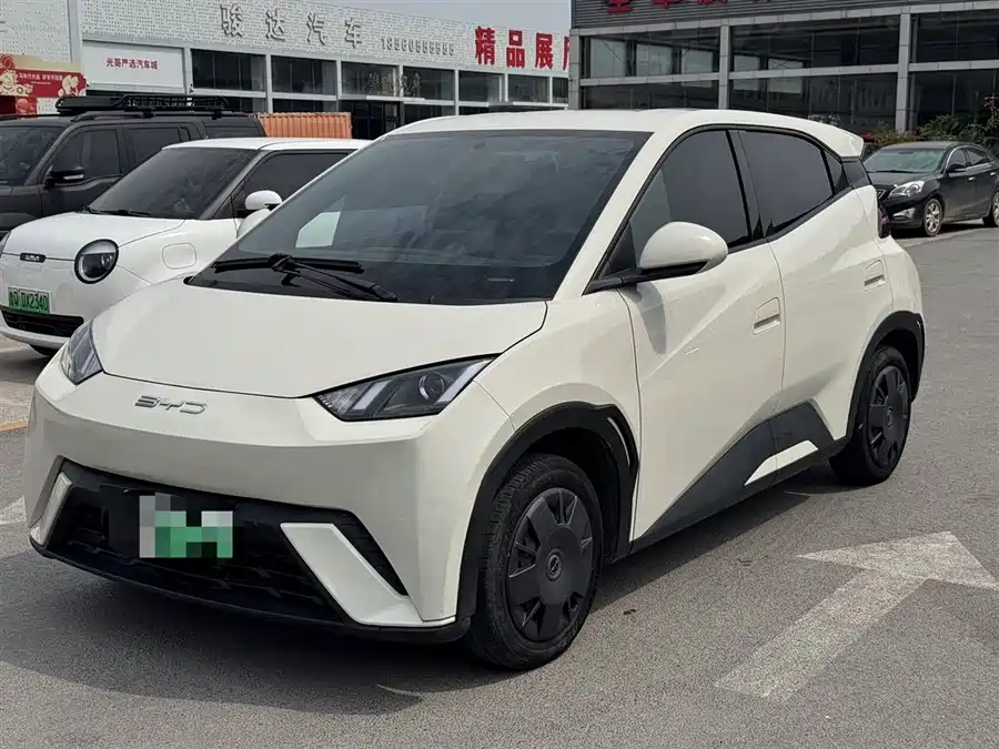 BYD Seagull