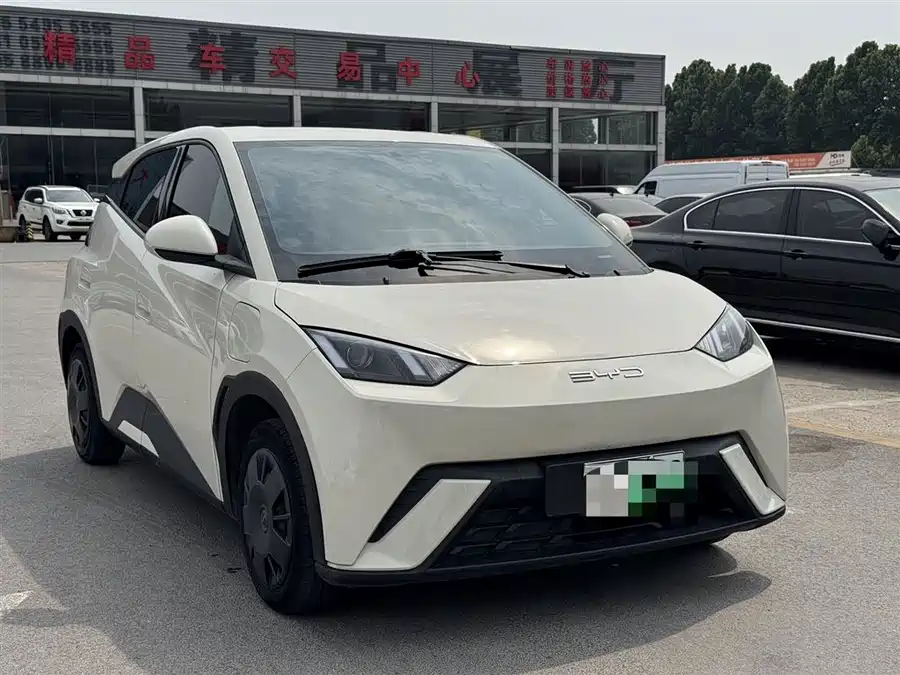 BYD Seagull