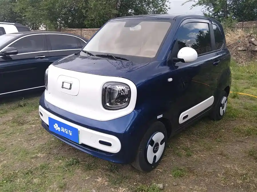 Pentium pony
