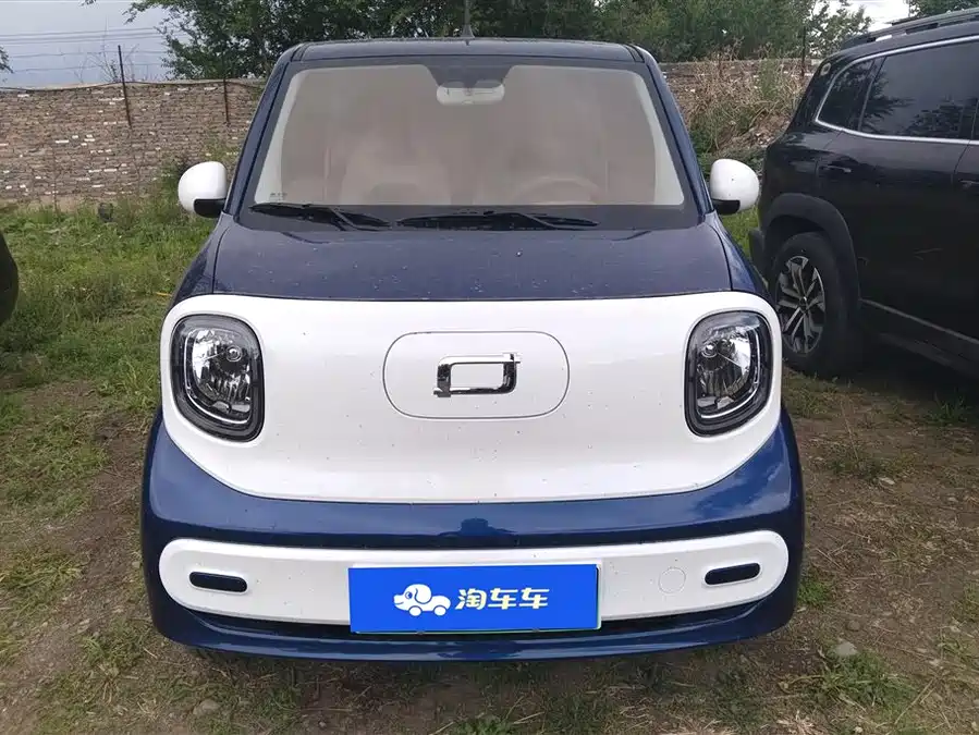 Pentium pony