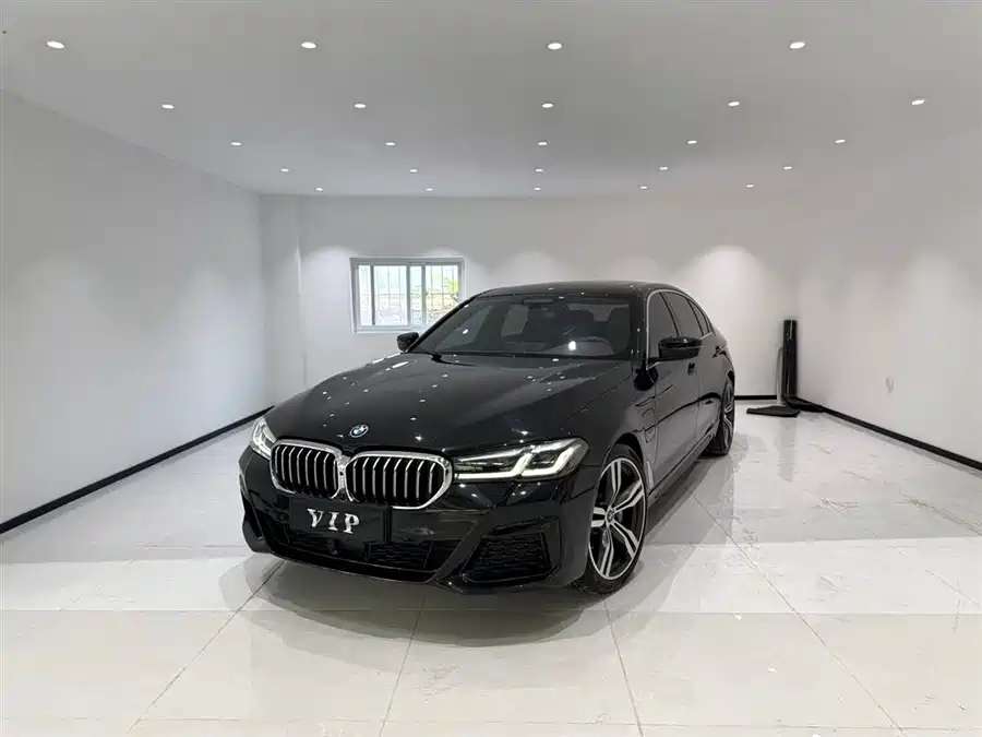 BMW 5 Series New Energy