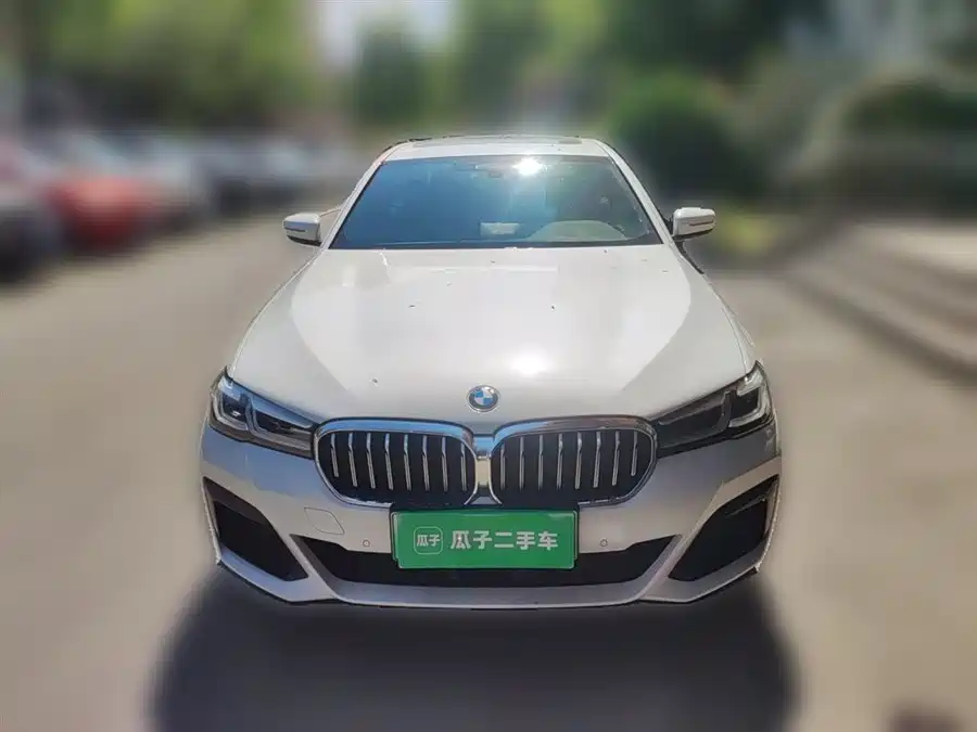 BMW 5 Series New Energy