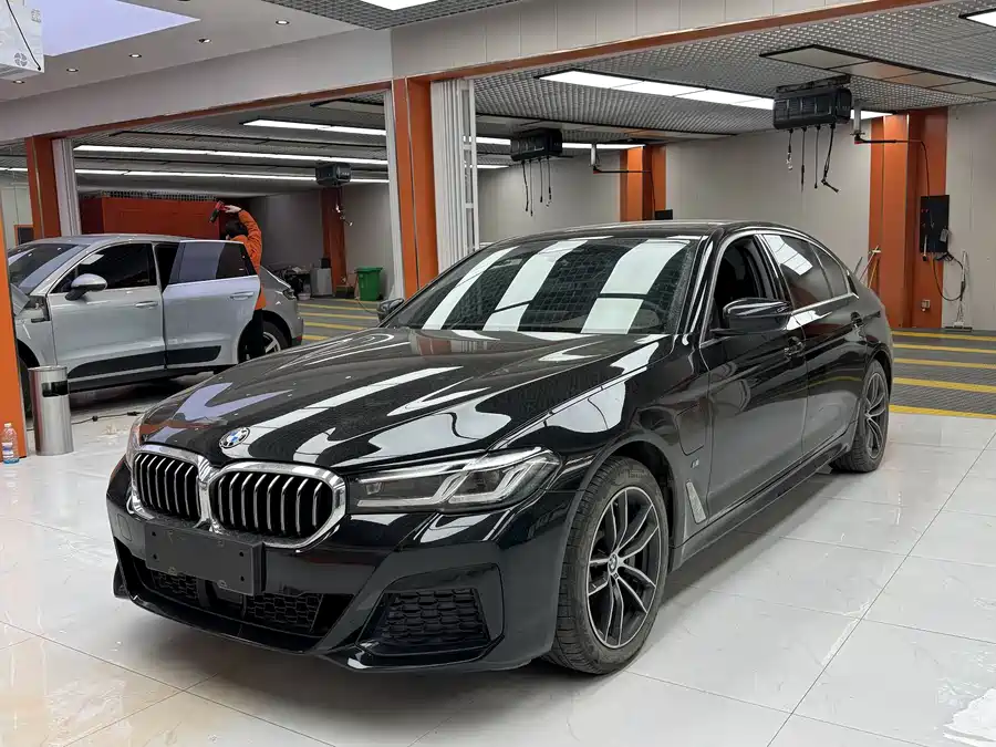 BMW 5 Series New Energy