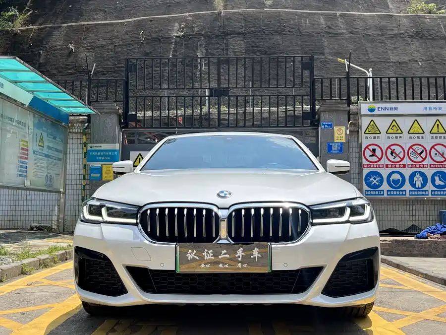 BMW 5 Series New Energy