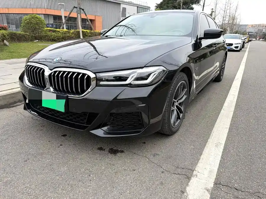 BMW 5 Series New Energy