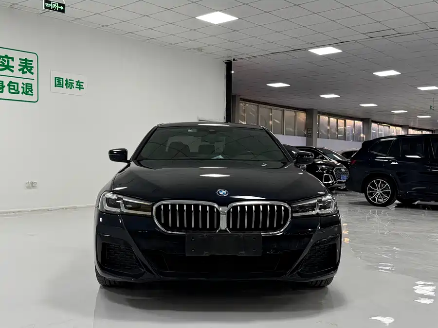 BMW 5 Series New Energy
