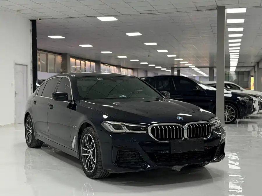 BMW 5 Series New Energy