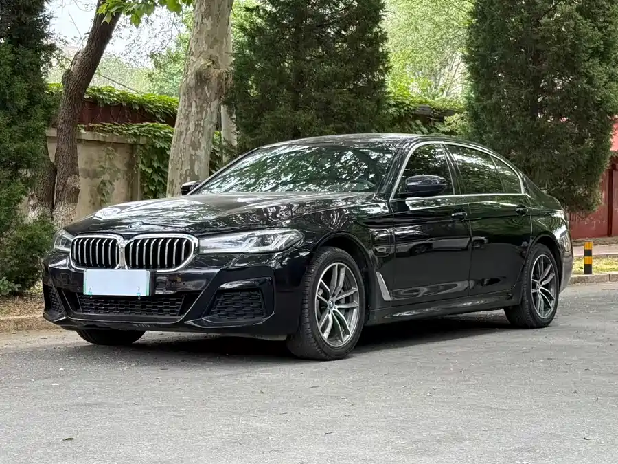 BMW 5 Series New Energy