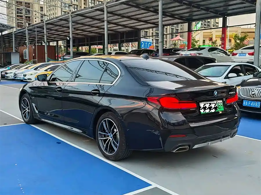 BMW 5 Series New Energy