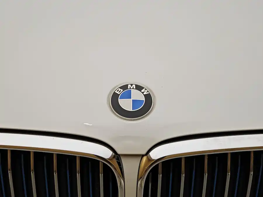 BMW 5 Series New Energy