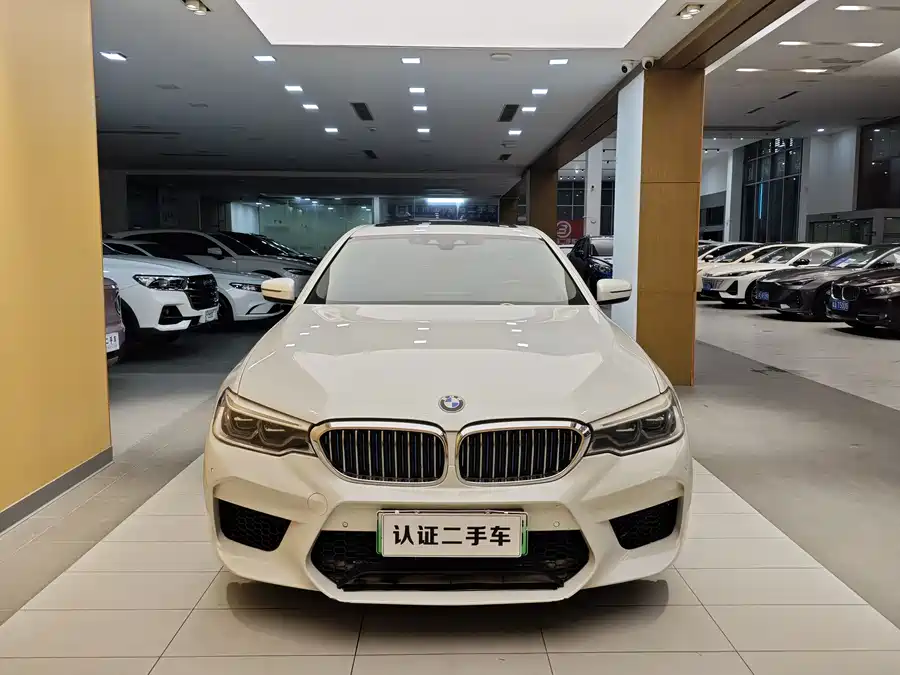 BMW 5 Series New Energy