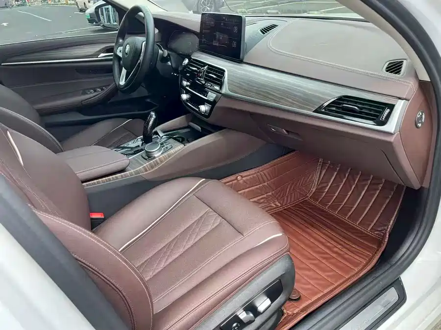 BMW 5 Series New Energy