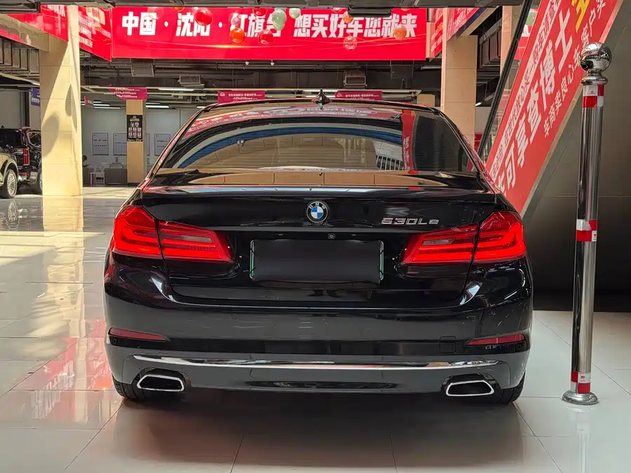 BMW 5 Series New Energy