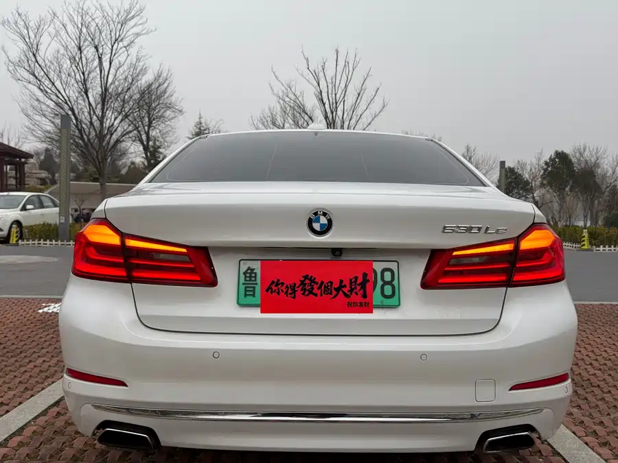 BMW 5 Series New Energy