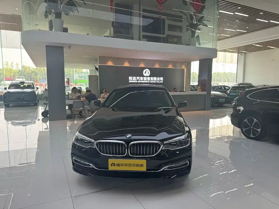 BMW 5 Series New Energy