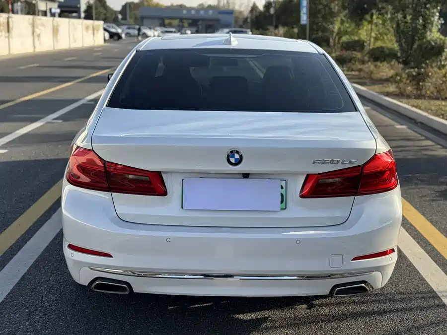 BMW 5 Series New Energy