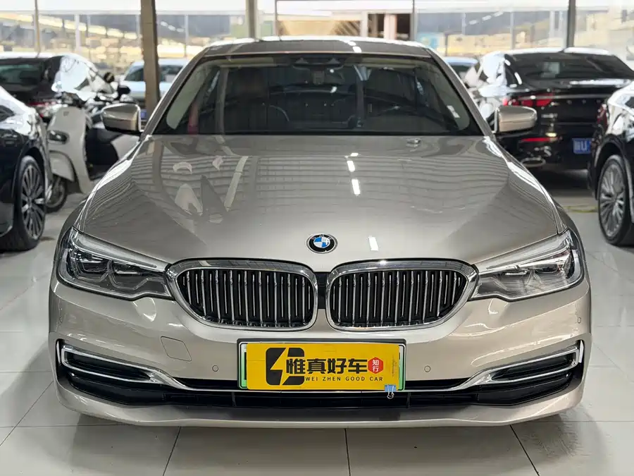BMW 5 Series New Energy
