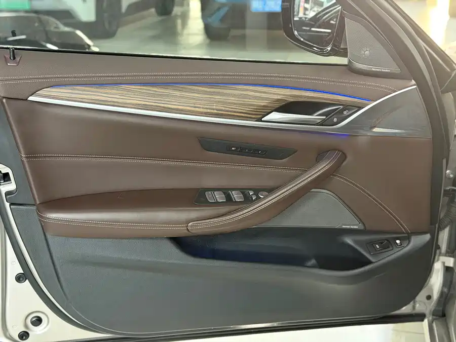 BMW 5 Series New Energy