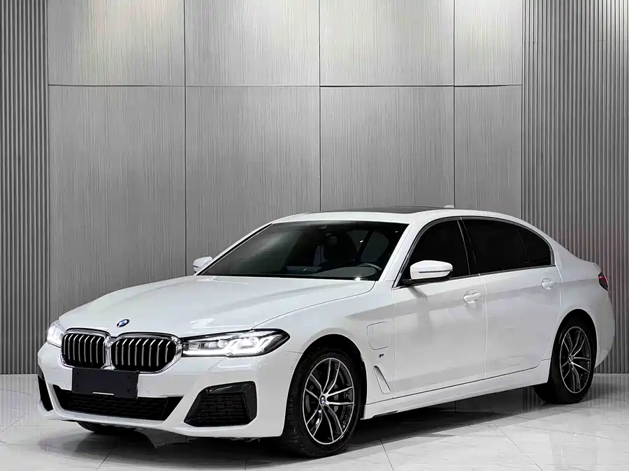 BMW 5 Series New Energy