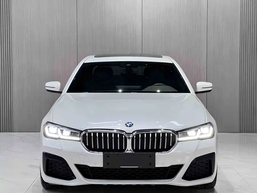 BMW 5 Series New Energy