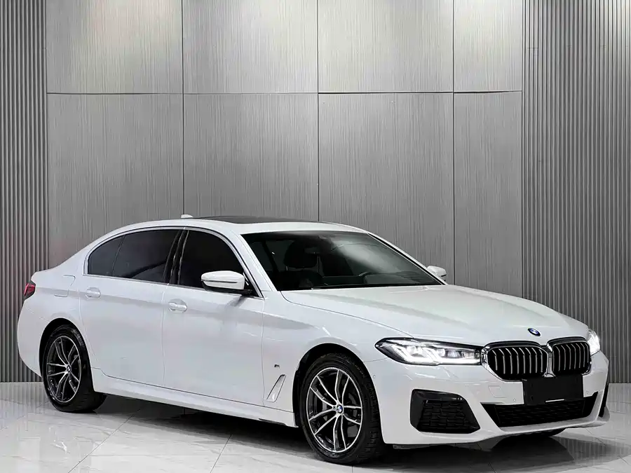 BMW 5 Series New Energy