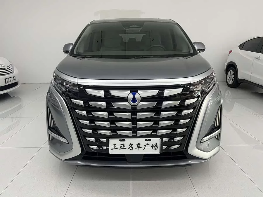 BYD D9
