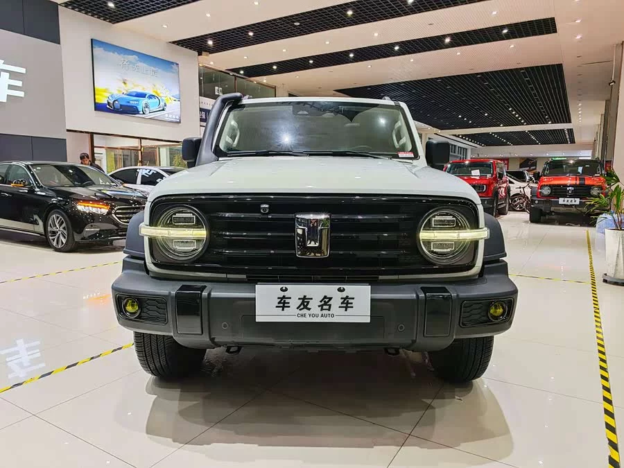 TANK 300