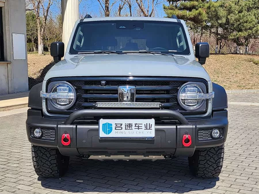 TANK 300