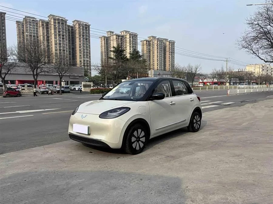 Wuling Bingo
