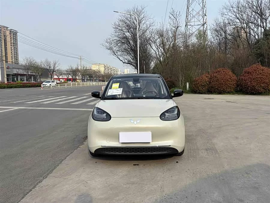 Wuling Bingo