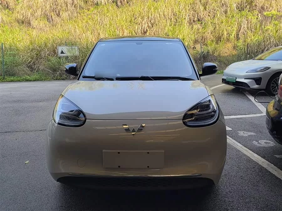 Wuling Bingo