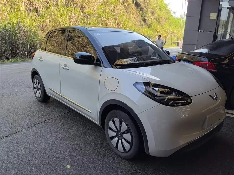Wuling Bingo