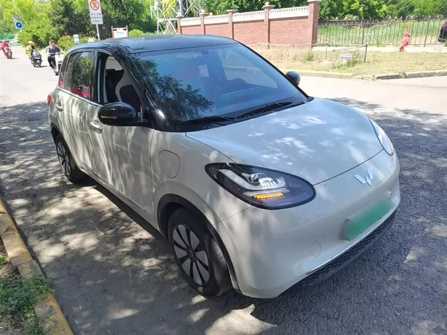Wuling Bingo