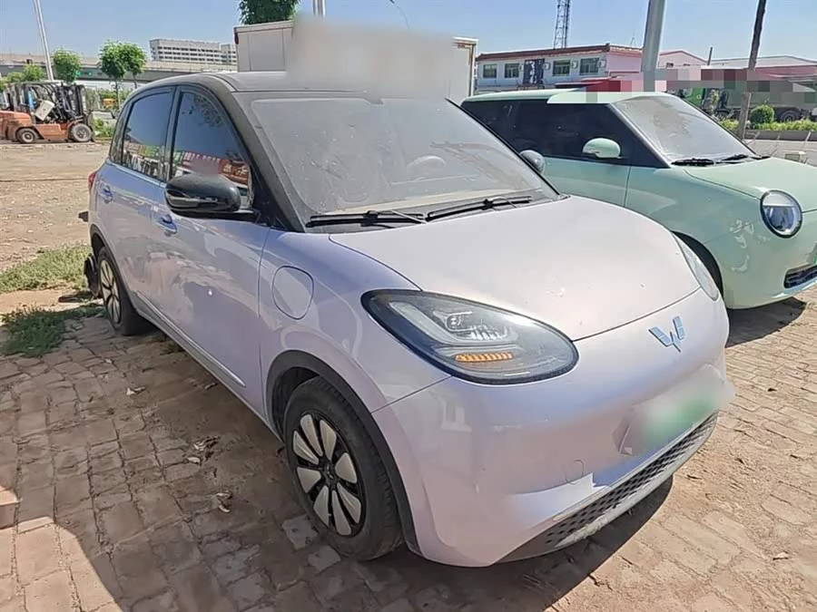 Wuling Bingo