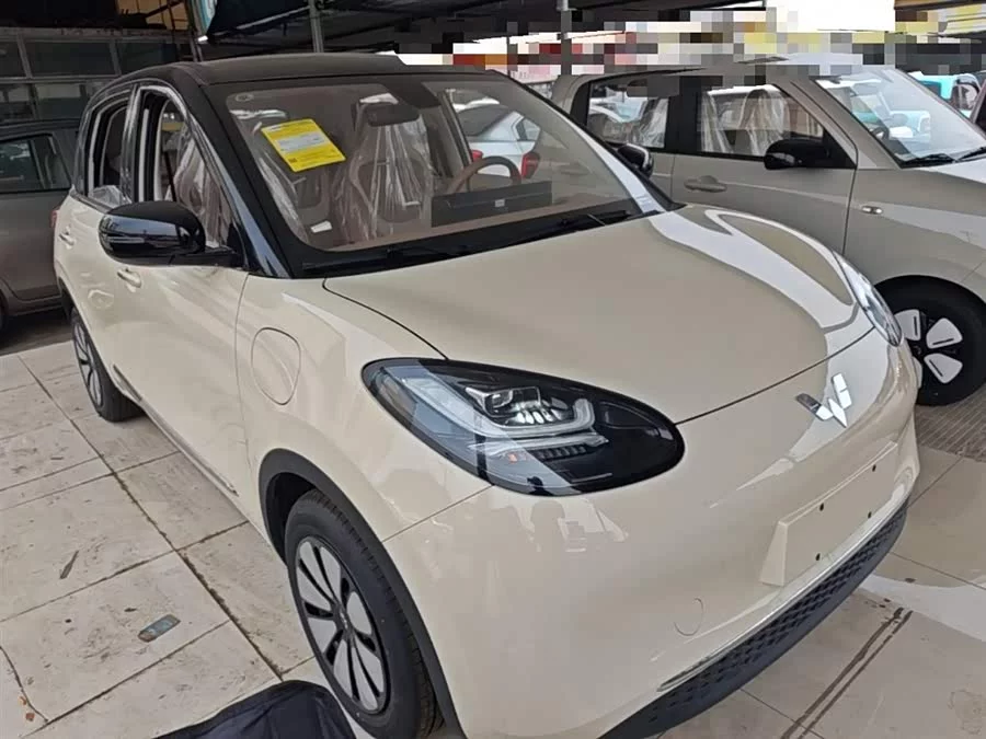 Wuling Bingo