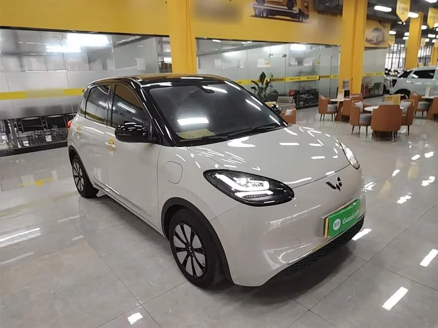 Wuling Bingo