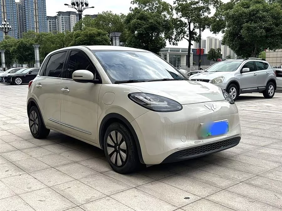 Wuling Bingo