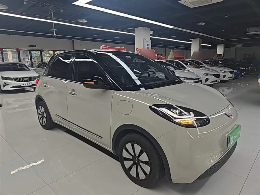 Wuling Bingo