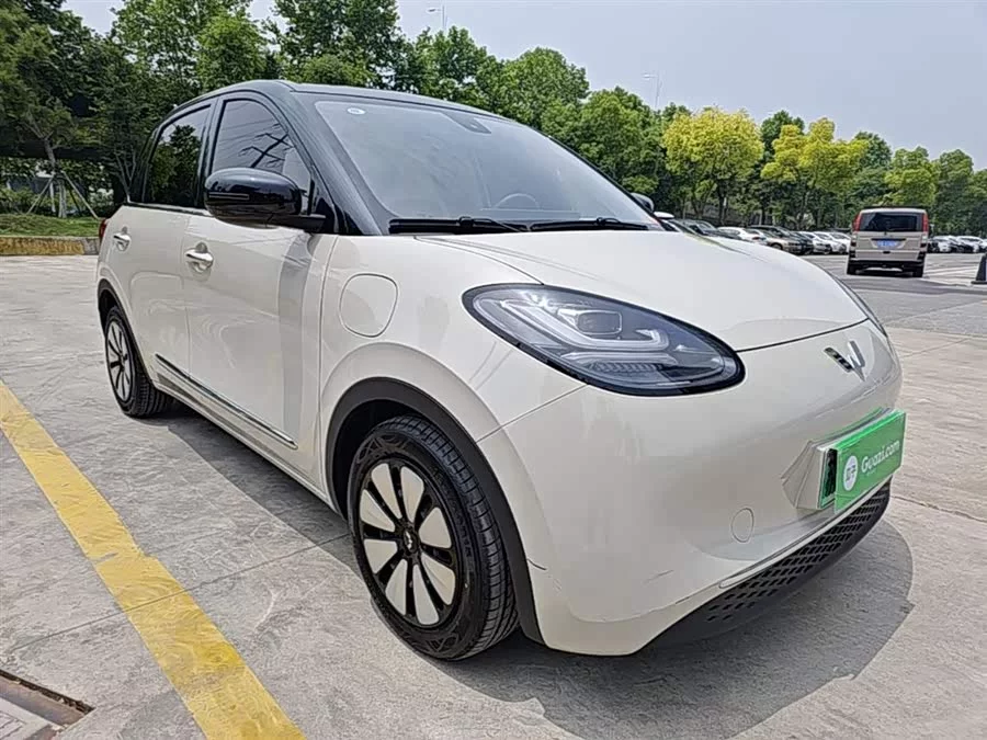 Wuling Bingo