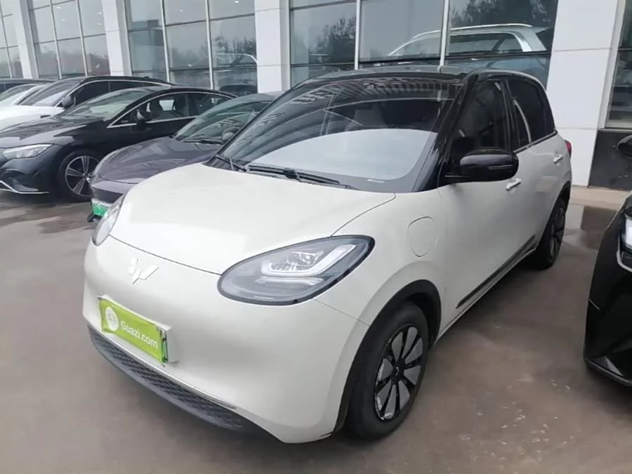 Wuling Bingo