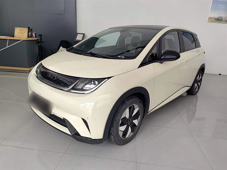 BYD Dolphin