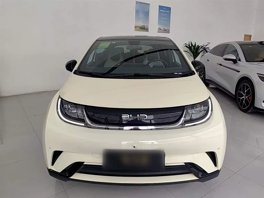 BYD Dolphin
