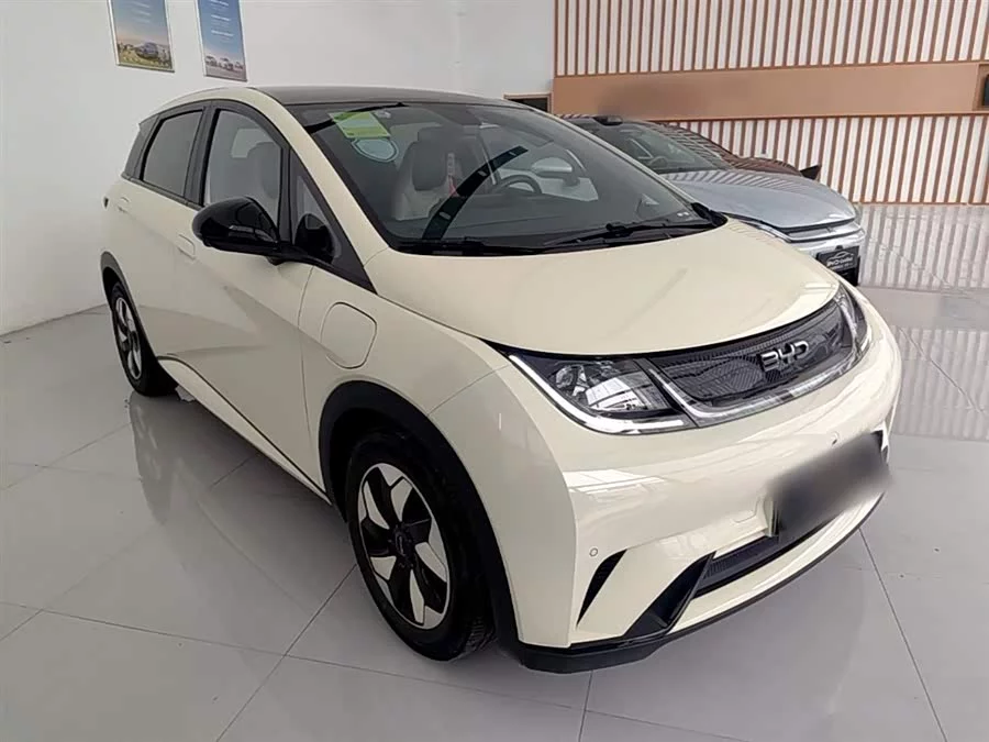 BYD Dolphin